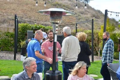 DSC_7379 (Large).JPG